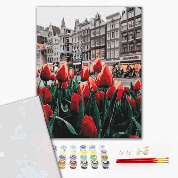 Tulipany Amsterdamu