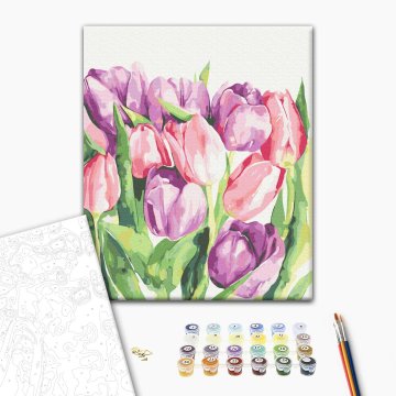 Ochtend tulpen © Karolina Bundash