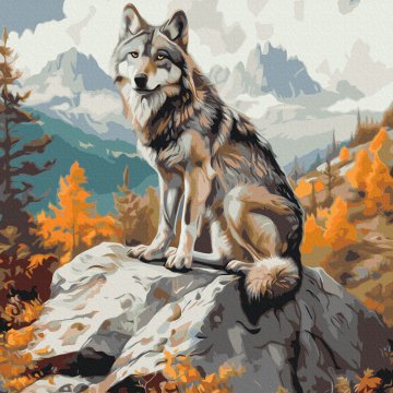 Loup de montagne