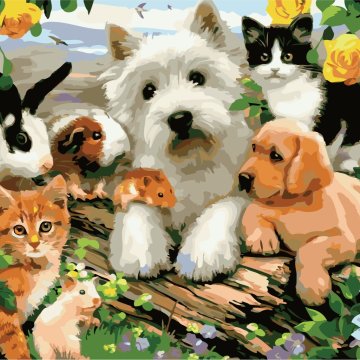 Company of home friends