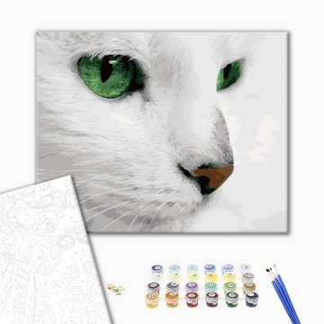 Green-eyed cat look