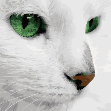 Green-eyed cat look