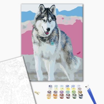 Husky dog