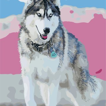 Husky dog