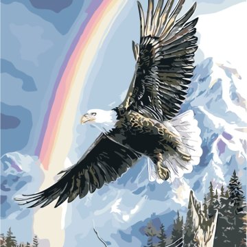 Eagle under the rainbow