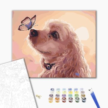 Butterfly on the nose of a pet
