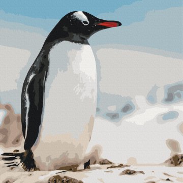 Główny sąsiad ukraińskich polarników © Serhiy Glotov