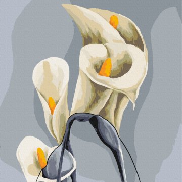 White calla lilies © Kateryna Savych