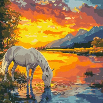 A horse at dawn
