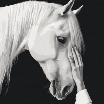 White mirage
