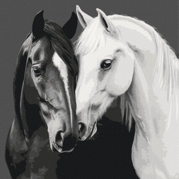Black and white heart
