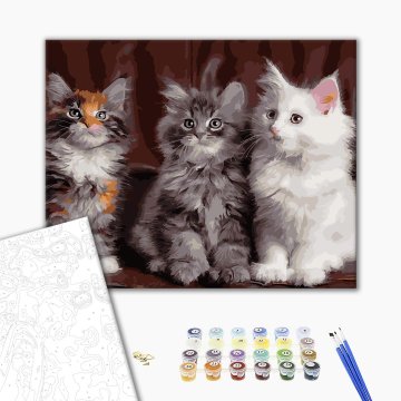 Three kittens