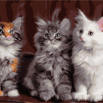 Three kittens