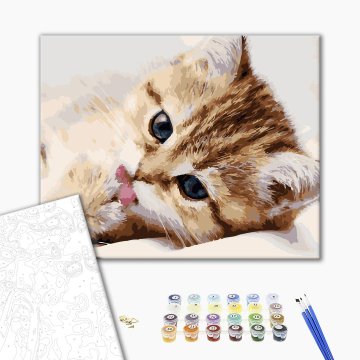 Little kitty
