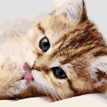 Little kitty