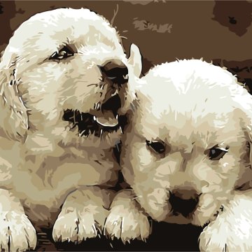 Friends puppies