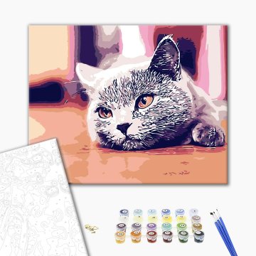 Cat with sadness
