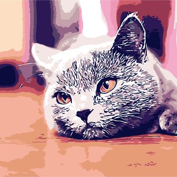 Cat with sadness