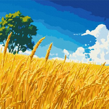 Field of golden ears of corn