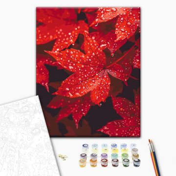 Autumn heart in drops