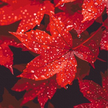 Autumn heart in drops