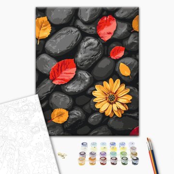 Leaves on stones