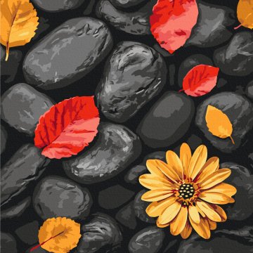 Leaves on stones