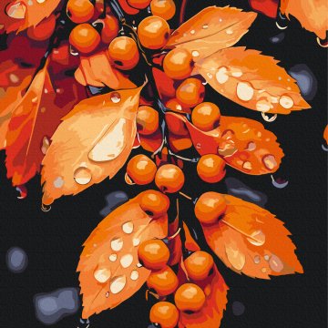 Melody of drops