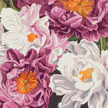 Dreams of peonies © Anastasia Alyokhina