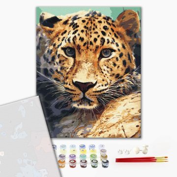 Porträt eines Leoparden