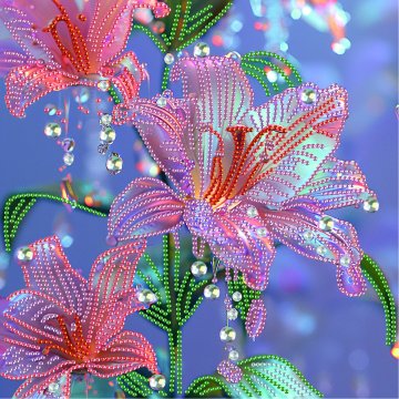 The delicate lily