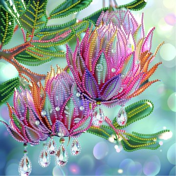 Delicate protea