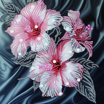 Pink hibiscus