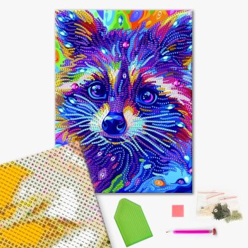 Colored raccoon