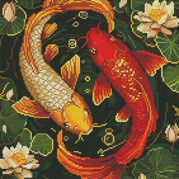 Colorful fish