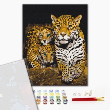 Nocturnal leopards
