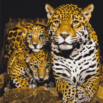 Nocturnal leopards