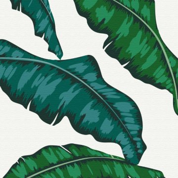 Tropics No. 1
