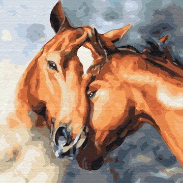 Horse tenderness