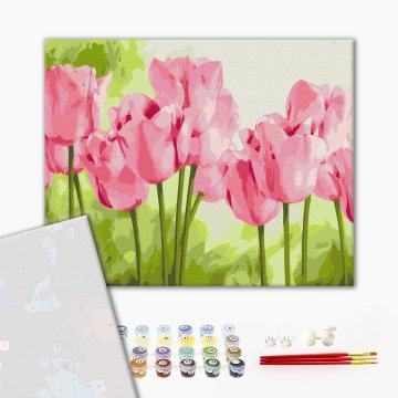 Delicate tulips