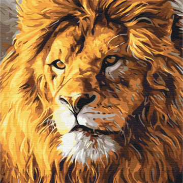 A look at pride