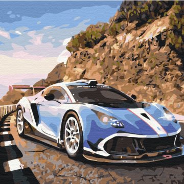 Sports car in the mountains