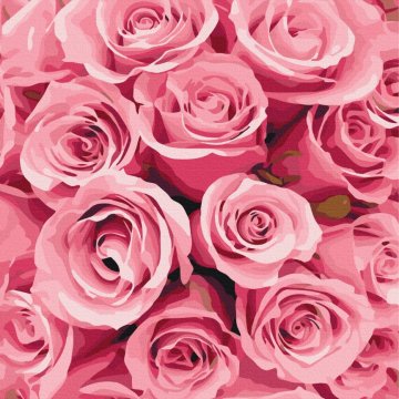 Roses with dreams