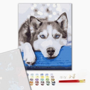 Husky in anticipation