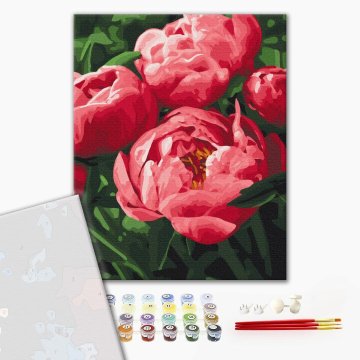 Saturated color of peonies