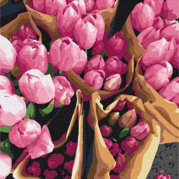 Dutch tulips