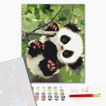Playful panda