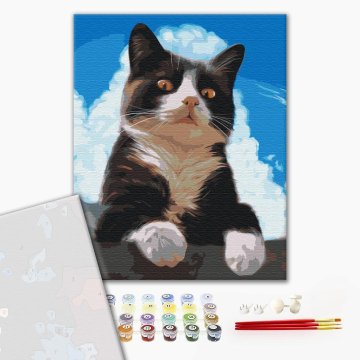 Inquisitive cat