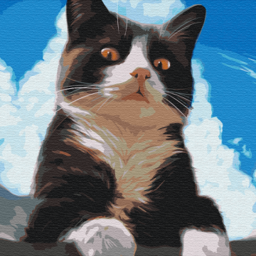Inquisitive cat