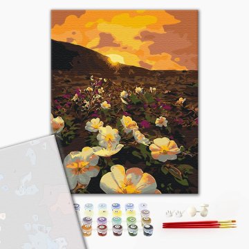 Flowers of the sun